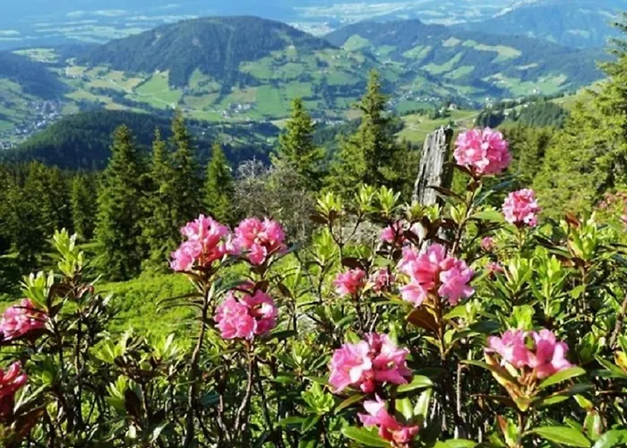 Haus Waldblick Appartamento Auffach