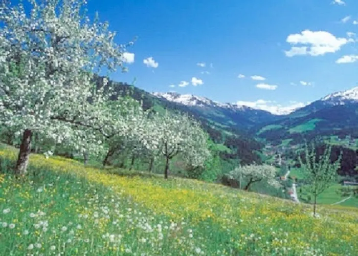 Haus Waldblick Appartamento