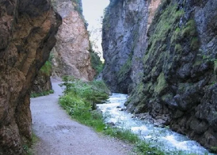 Daire Haus Waldblick Auffach