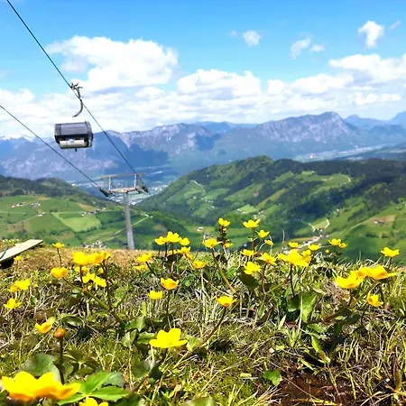 Haus Waldblick Lägenhet *
