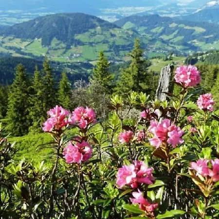 Haus Waldblick Lägenhet Auffach