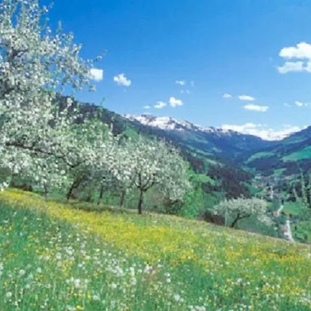 Haus Waldblick Lägenhet