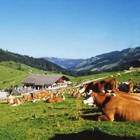 Haus Waldblick Lägenhet