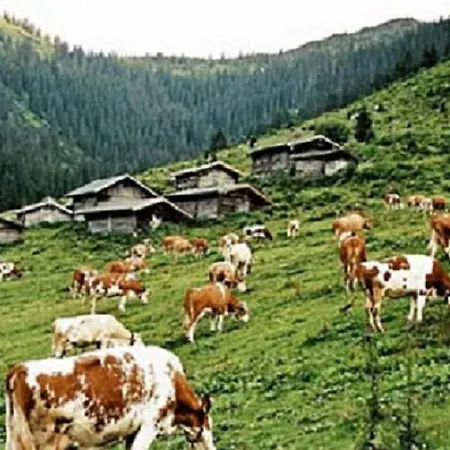 Haus Waldblick Lägenhet