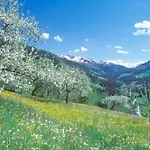 Haus Waldblick Apartamento