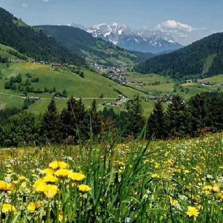 Haus Waldblick *