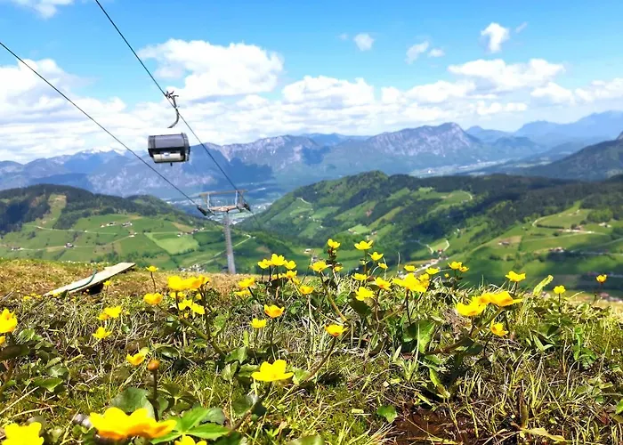 Haus Waldblick Apartmán *