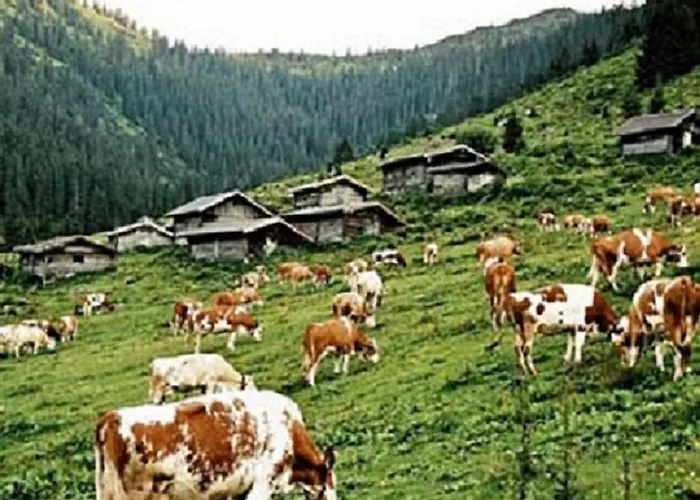 Haus Waldblick Apartmán